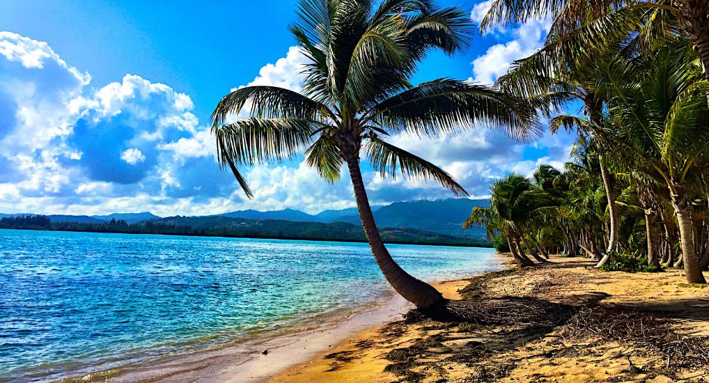 Romantic Tropical Getaway -Beaches of Porto Rico